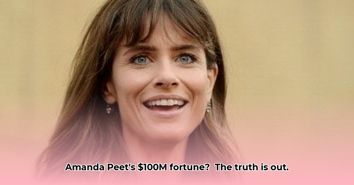 amanda-peet-net-worth